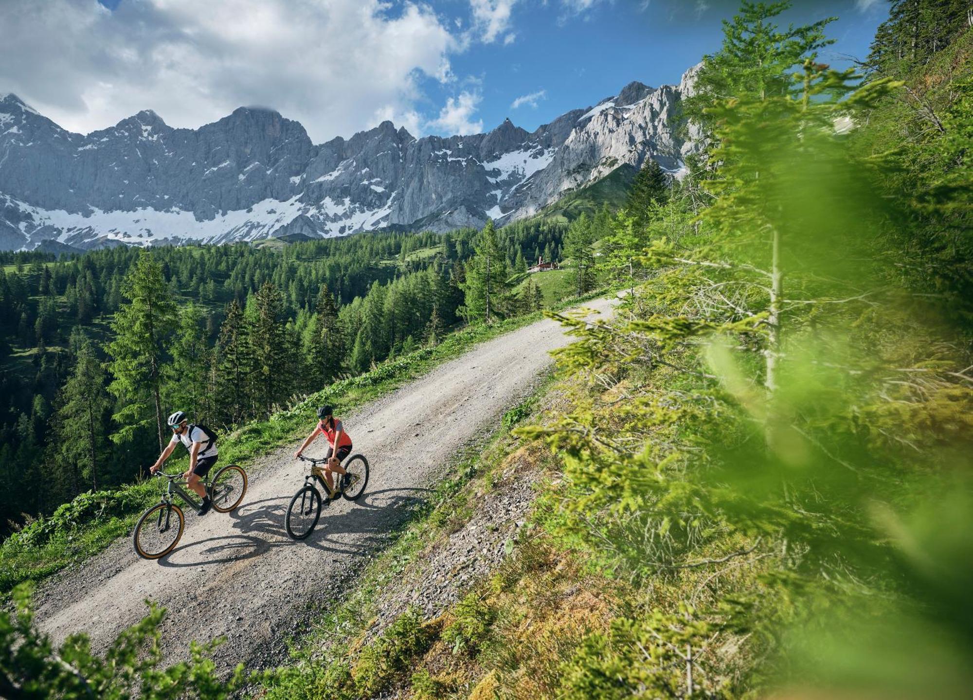 Luxury Chalets Gradenbach Near Schladming Haus im Ennstal Εξωτερικό φωτογραφία